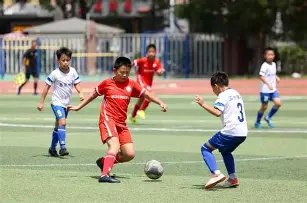 理想汽车,市场狂欢启,开云官网,开云官网,开云下载,开云代理,开云全站,开云入口