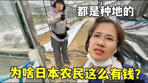 开云官网 090503